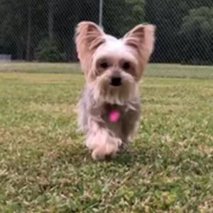 Meet your Posher, Jennifer